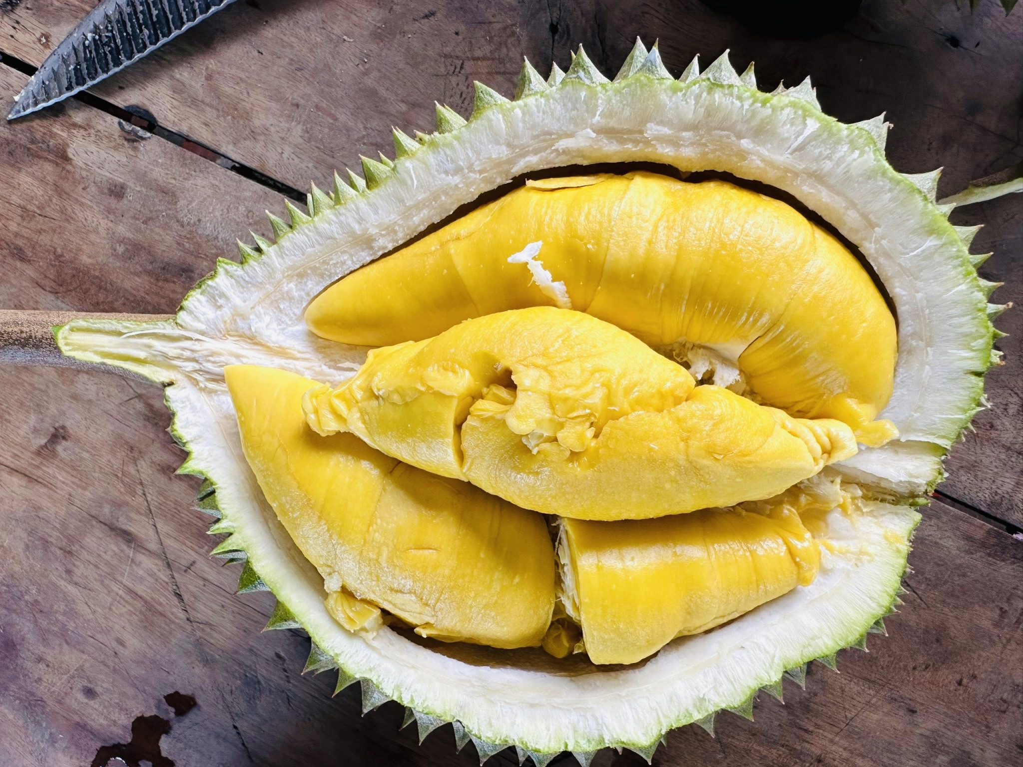 Sầu riêng Musang King trồng ở miền Tây, giá rẻ chưa từng có